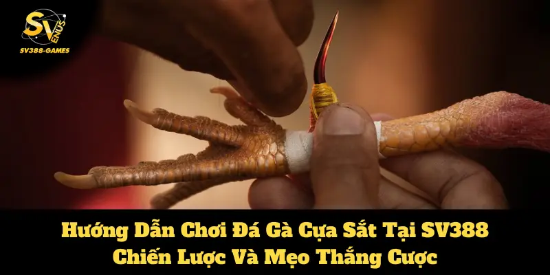 đá gà cựa sắt tại SV388