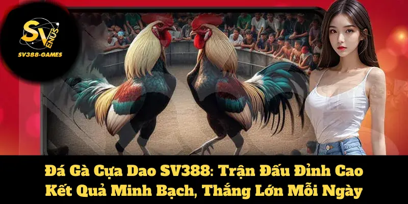 đá gà cựa dao tại SV388