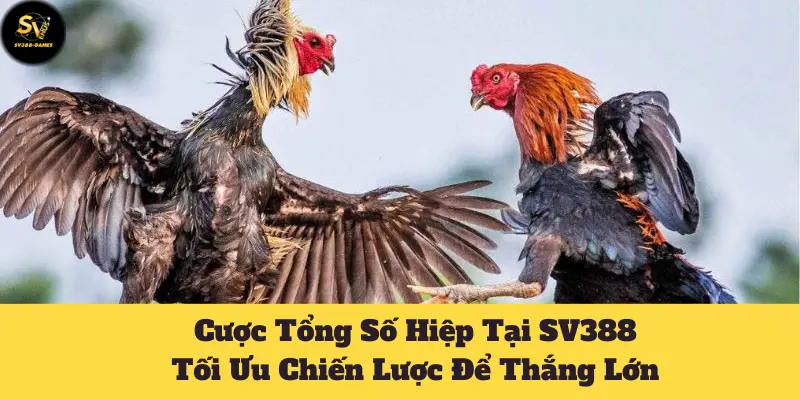 Cược Tổng Số Hiệp Tại SV388: Tối Ưu Chiến Lược Để Thắng Lớn 5 cược tổng số hiệp