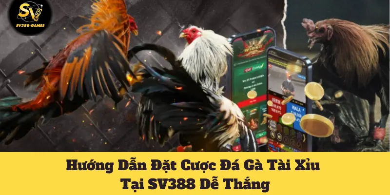 đá gà tài xỉu