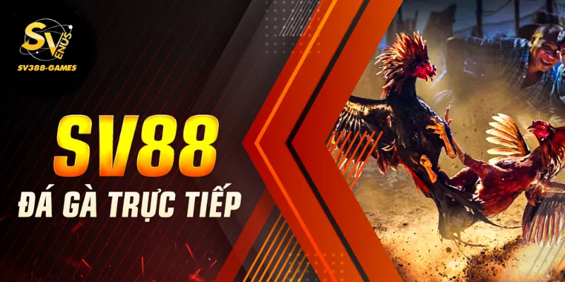đá gà trực tiếp tại SV388