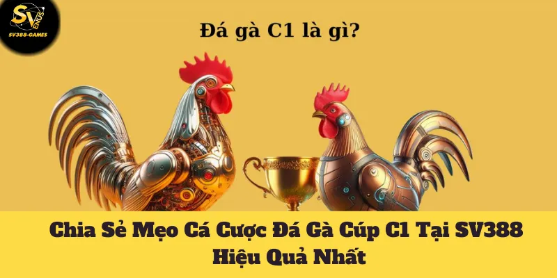 Chia Sẻ Mẹo Cá Cược Đá Gà Cúp C1 Tại SV388 Hiệu Quả Nhất 1 Mẹo cá cược đá gà cúp C1 tại SV388 hiệu quả
